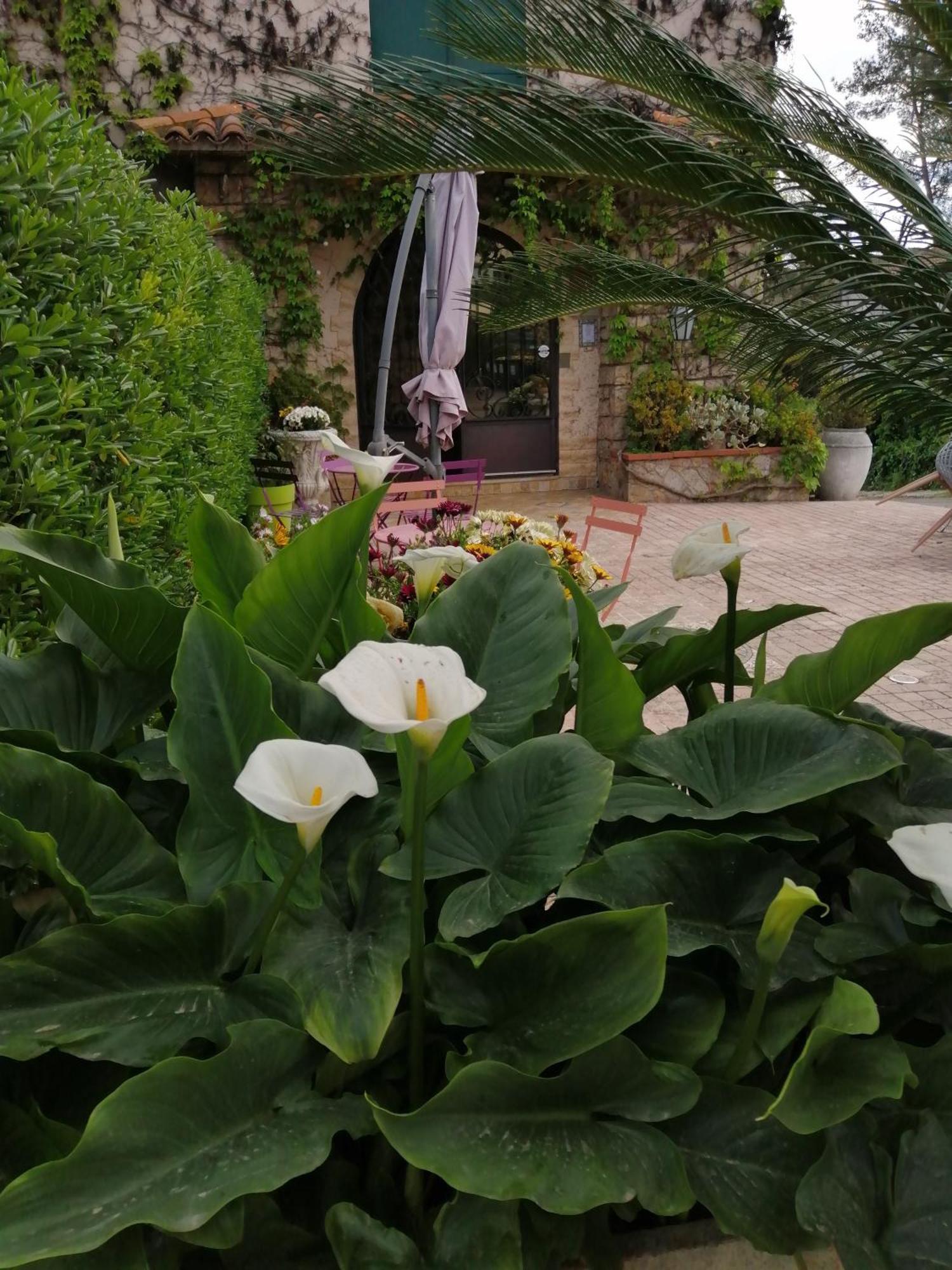 Auberge Les Aromes Grasse Bagian luar foto